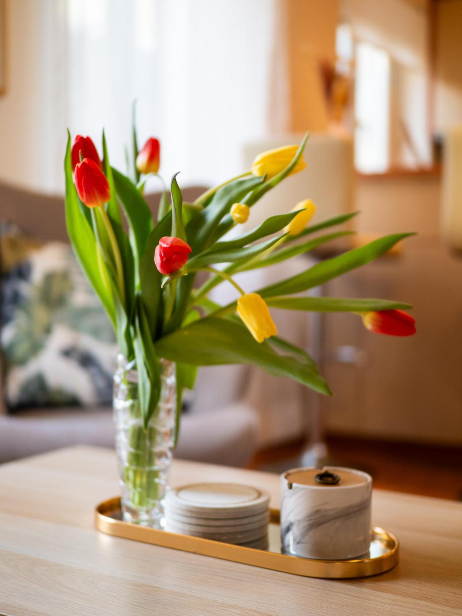 Nefertiti Suite Corfu  Ngoại thất bức ảnh